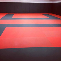 Tapis de judo Tatami certifié IJF, tapis de Taekwondo, tapis de BJJ, tapis de judo gonflables