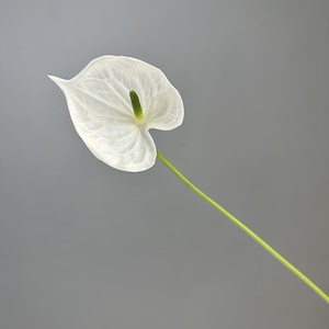 <span class=keywords><strong>Flores</strong></span> Artificiales de Anturio de Alta Calidad, Anturio Blanco con Tacto Real para Decoración de Hogar, Jarrones, Mesas de Fiesta, Centros de Mesa para Bodas - Product Image 4