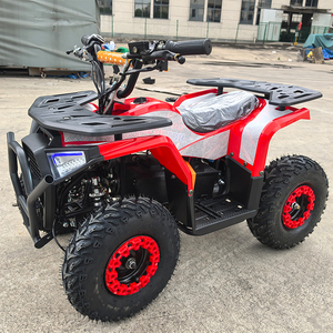 Liquidation à prix réduit : <span class=keywords><strong>Quad</strong></span> électrique 48V 1000W avec batterie au plomb 12AH et pneus tubeless de <span class=keywords><strong>6</strong></span> <span class=keywords><strong>pouces</strong></span> – Vente directe usine - Product Image 5