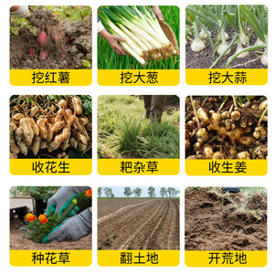 <b>Garden</b> Fork Four Tines Carbon Steel For Farm Tilling And Soil Loosening <b>Tool</b> - Product Image 3