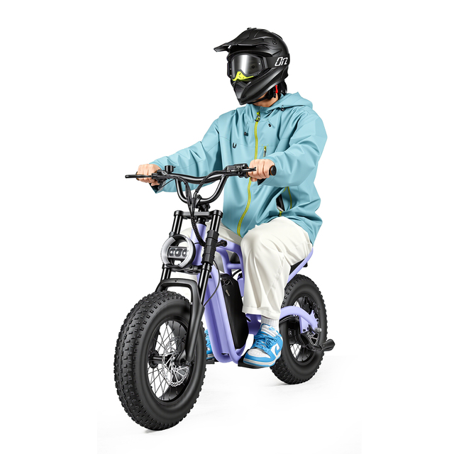 Mini Electric Dirt Bike for Kids 36V350W Motor Dual Shock Suspension Fat Tire Steel Lithium Battery Ebike Outdoor Sports Fun
