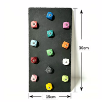 Planche d'escalade texturée pour reptiles en dalle de pierre avec poignées colorées pour la décoration d'habitats de lézards, accessoires pour terrariums de reptiles