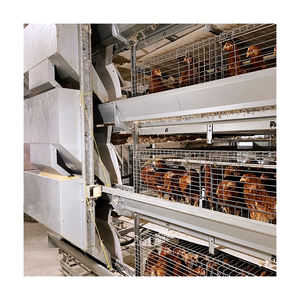 Satılık tavuk çiftliği ekipmanları için yüksek kaliteli hayvan kafesi Pullet tabakası tavuk kafesi - Product Image 3