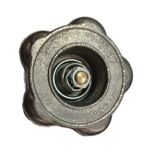 Valvola per Bombola di Protossido d'Azoto in Ottone Personalizzabile, Valvola per Bombola di Gas ad Alta Pressione, Supporto OEM Direttamente dalla Fabbrica per la Russia - Product Image 4