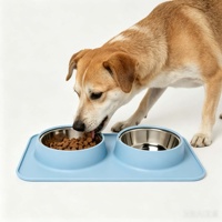 Ventes en gros de bols et mangeoires pour animaux de compagnie en silicone de qualité alimentaire antidérapants, bols pour chiens en acier inoxydable amovibles pour l'alimentation quotidienne des animaux de compagnie