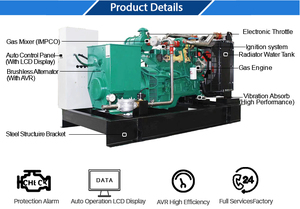 Máy phát điện khí 100kva hiệu quả cao-Lý tưởng cho Dự Phòng Thương mại và khẩn cấp - Product Image 6