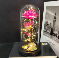 Bunga Mawar Kaca Berlapis Emas 24k dengan Lampu LED, Hadiah Terpanas Hari Valentine, Grosir Pabrik