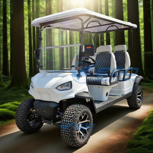 Voiturette tout-terrain personnalisable à vendre, 4 places, voiturette de golf électrique - Product Image 1