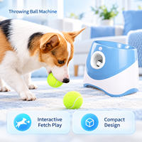 Lanceur automatique de balles pour animaux de compagnie, jouet interactif pour animaux de compagnie avec balles de tennis, accessoires pour animaux de compagnie, machine à lancer des balles pour chiens