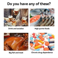 Thé aux herbes Youyi Shangliang, saveur variée, équilibre l'acide urique, soutient la santé du foie et des reins, favorise le bien-être général
