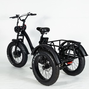 <span class=keywords><strong>Triciclo</strong></span> Eléctrico de Carga y Pasajeros de 3 Ruedas para Adultos, 750W/500W, con Marco de Acero, Llanta de Aleación y Neumático Ancho, Chino, Venta al por Mayor - Product Image 1