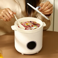 Portable 2L Ménage Électrique Cuiseur À Riz Mini Plastique Automatique avec Boîtier En Aluminium Fonctions Intelligentes pour Cuisine Voiture Hôtels