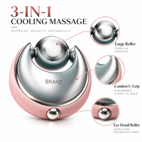Rouleau facial en acier inoxydable avec logo personnalisé, double tête, cryo-masseur rafraîchissant pour le soin du visage et des yeux