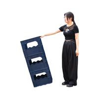 Caisse de transport pour 12 bouteilles de bière JOIN Premium C 430x330x360mm, capacité de charge lourde et matériau HDPE durable