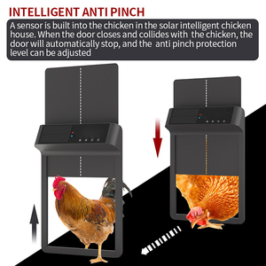 2024 plus récent contrôle de l'application à énergie solaire poulailler porte écran LCD fonction Anti-pincement Cages pour animaux de compagnie et maisons produit - Product Image 4