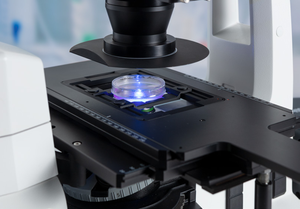 Axiovert 5/7 Intègre la technologie de microscopie intelligente dans votre laboratoire de culture cellulaire - Product Image 6