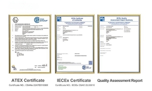 INS-OF-EA300 Hilong về bản chất an toàn 4G EX IIC ATEX/iecex non Camera Zone 1/2 điện thoại thông minh cho vùng 1/21 - Product Image 4