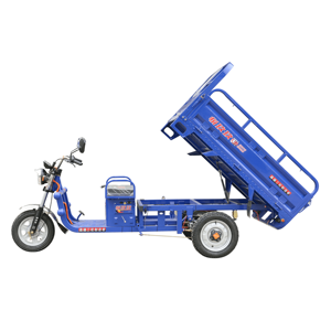 Trung Quốc nhà máy 1.6m hàng hóa ba bánh siêu điện 60V ổ điện EEC/<span class=keywords><strong>GCC</strong></span>/CE chứng nhận có bánh xe lớn mở loại cơ thể - Product Image 5