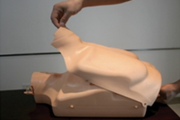 Maniquíes de RCP Ajustables para Adultos y Niños, Modelo de Medio Cuerpo para Prácticas de Enseñanza de Ciencias Médicas en la Escuela de Medicina