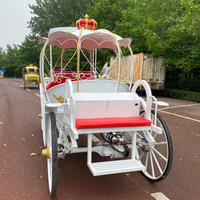 Charrette à chevaux électrique pour mariage, chariot de mariage blanc, chariot de Cendrillon, chariot de marathon, chariot de transport spécial néerlandais
