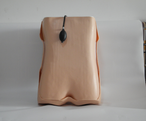 Modelo de PVC Computarizado Avanzado para Entrenamiento en Control de Maternidad/Natalidad, Obstetricia, Ginecología, Escuela de Ciencias Médicas - Product Image 3