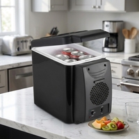 Mini réfrigérateur 6L portable AC/DC, petit réfrigérateur de voiture pour la maison, le bureau, le camping GBF-6L1