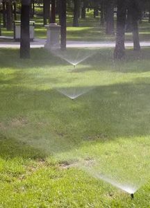 Aspersor Rotatorio <span class=keywords><strong>Enterrado</strong></span> de 1/2 Pulgada, Resistente a la Corrosión, para Riego de Jardín, Fabricante Profesional - Product Image 6