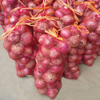 Verpakkingen van 10KG, 20KG, 25KG gaasnetten, PP zakken en PE Raschel gaas zakken voor groenten, fruit, aardappelen en uien