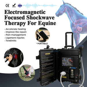 Équipement de thérapie par ondes de choc pour la récupération des chevaux, machine à ondes de choc focalisées portable pour la réadaptation vétérinaire - Product Image 1