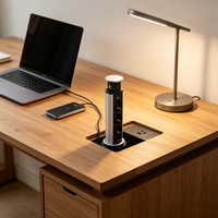 Benutzer definierte Größe Küche Pop-up Tower Socket Lift Desk Power Elektrisches Heben Versteckte Desktop-Buchse