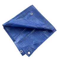 Bâche PE 120-130g/m² 100% Imperméable de Haute Qualité pour Camion et Cargaison, Très Demandée en Afrique