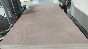 Pannello in <span class=keywords><strong>Compensato</strong></span> Commerciale 1250*2500 <span class=keywords><strong>MM</strong></span>, Pannello in <span class=keywords><strong>Compensato</strong></span> Decorativo - Product Image 5