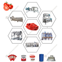 Machine à sauce tomate concentrée LAZEN multifonctionnelle 3 à 25 tonnes par heure, automatique/semi-automatique
