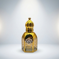 Bouteilles Tola Vides Personnalisables en Or Électroplaqué, Forme Cage à Oiseaux, 3ml, 6ml, 12ml, pour Huile de Parfum Attar avec Bille Applicatrice