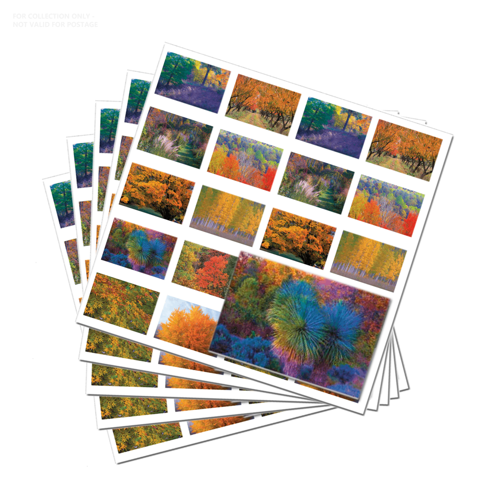 white 2024 Autumn Colors 500374-Z8-248-25BKAN