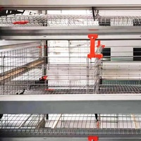 Dimension automatique de cage de batterie de couche de poulet d'équipement d'élevage de volaille pour la cage de couche de poulet 1000