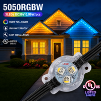 Lumière ponctuelle extérieure DC48V IP68 RGBW à commande intelligente, étanche, LED pour l'éclairage des fêtes, Noël, festivals, décoration de bâtiments