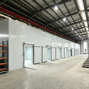 Cámara de Almacenamiento en Frío con Atmósfera Controlada Industrial para la Preservación de Frutas y Verduras Frescas con Temperatura y Humedad Estables - Product Image 5