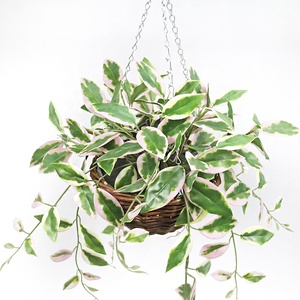 Planta Hoya Carnosa Artificial de 90cm de altura colgante con cesta - Product Image 2