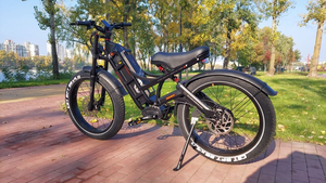 Vélo électrique tout-terrain eAhora Romeo Pro High-power Black, fatbike électrique, vélo de montagne hybride, vélo cargo, vélo tout-terrain pour adultes. - Product Image 5