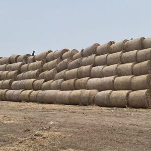 Bán buôn nông nghiệp thức ăn gia súc <span class=keywords><strong>Net</strong></span> Ủ Chua <span class=keywords><strong>Net</strong></span> Ngô rơm bọc Bale <span class=keywords><strong>Net</strong></span> tùy chỉnh - Product Image 6