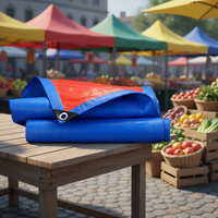 Bâche PE imperméable légère de haute qualité 120 g/m² en tissu enduit organique occultant pour bagages et parapluies (garçons et filles)