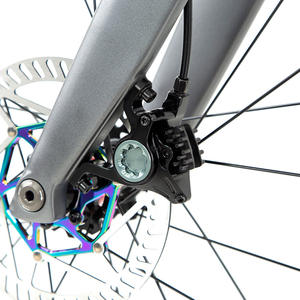 R10Pro कार्बन फाइबर रोड बाइक 22 शिफ्ट बकेट एक्सल डिस्क ब्रेक विंडब्रेकर रेसिंग शैली - Product Image 6