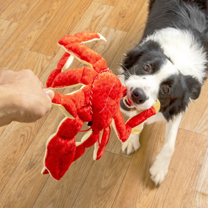 Wholesale Large Emperor Crab Design <b>Plush</b> Squeaky Chew Toys for Big Dogs Durable Interactive Stuffed Tug for Pet Dogs - Product Image 4