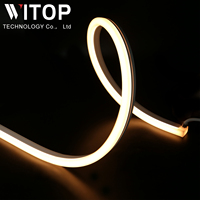 Nouvelle conception de bande lumineuse LED néon DC24VRa90 1010/1313/1616 2020, éclairage architectural, étanche IP67, bande lumineuse LED néon flexible pour extérieur