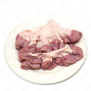 Fournisseur abordable de gros intestins de porc - Product Image 4