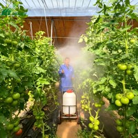 Pulvérisateur électrique à brancher, pulvérisateur agricole, machine à pulvériser les pesticides en serre avec moteur, long tuyau, robuste et durable
