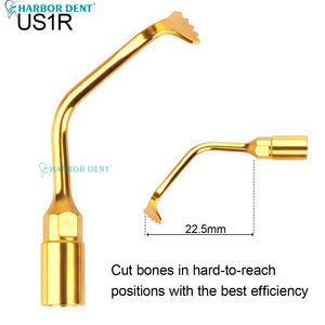 1 Buah <span class=keywords><strong>Tip</strong></span> Piezosurgery Gigi, <span class=keywords><strong>Tip</strong></span> Bedah Tulang, Pemotong Tulang Ultrasonik, <span class=keywords><strong>Tip</strong></span> Bedah Gigi Exelcymosis, Cocok untuk Woodpecker EMS - Product Image 6