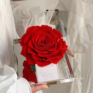 Selling big rose flower competitive price preserved roses in acrylic box for valentine flower arrangements