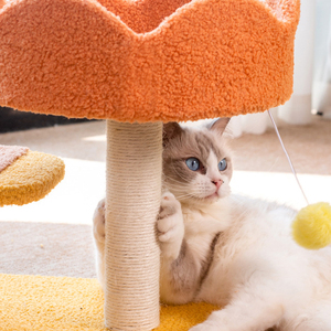 BS CT222 Chất Lượng Cao Mèo Cây Độc Đáo Mèo Cây Với Võng Mát Mèo Cây Dễ Dàng Để Cài Đặt - Product Image 4